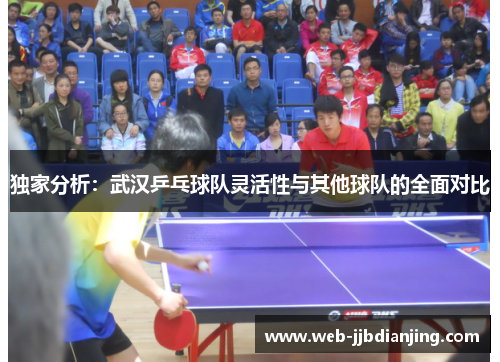 独家分析：武汉乒乓球队灵活性与其他球队的全面对比